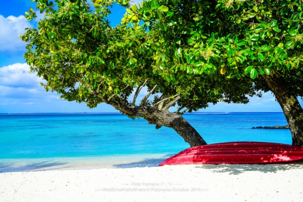 Bora Bora Island Bora Bora Island