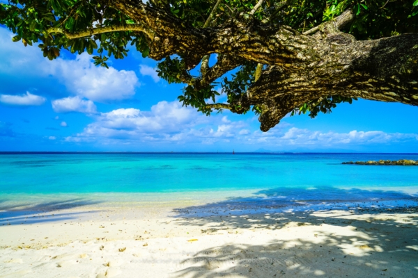 Bora Bora Island Bora Bora Island