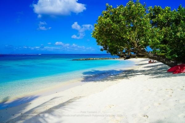 Bora Bora Island Bora Bora Island