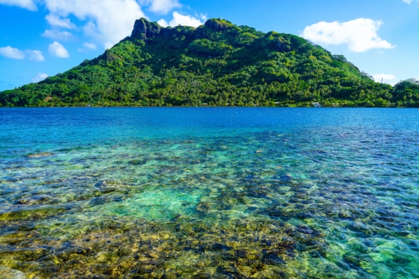Bora Bora Island Bora Bora Island