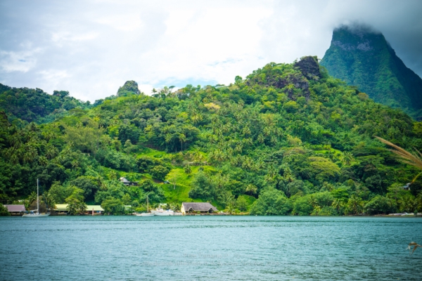 Bora Bora Island Bora Bora Island