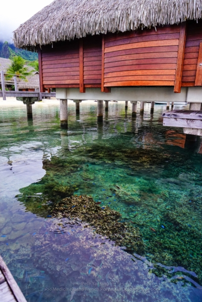 Bora Bora Island Bora Bora Island