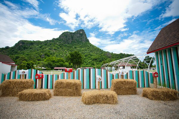 Swiss Sheep Farm Swiss Sheep Farm