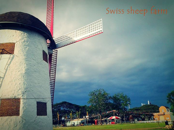 Swiss Sheep Farm Swiss Sheep Farm