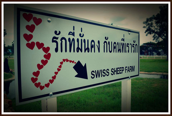 Swiss Sheep Farm Swiss Sheep Farm