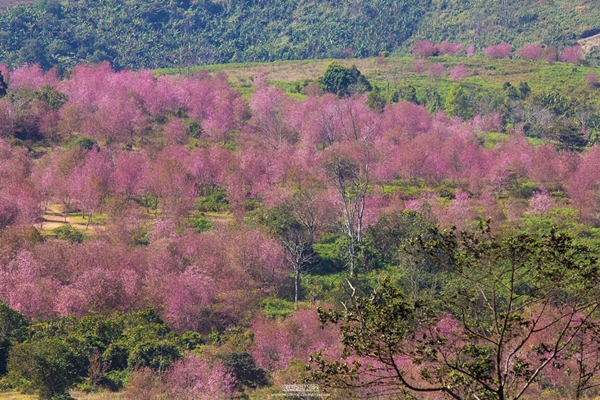 ภูลมโล ภูลมโล