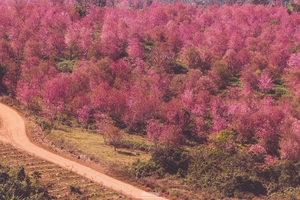 ภูลมโล ภูลมโล