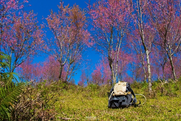 ภูลมโล ภูลมโล