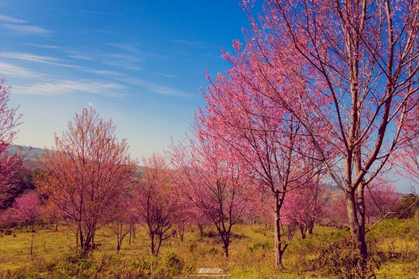 ภูลมโล ภูลมโล