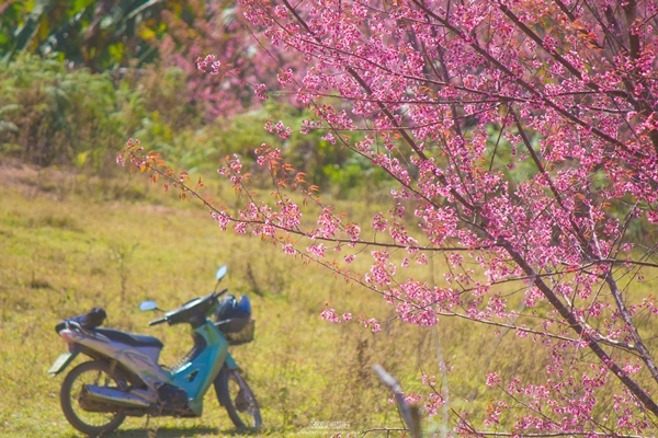 ภูลมโล ภูลมโล