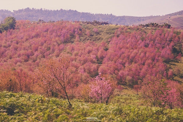 ภูลมโล ภูลมโล