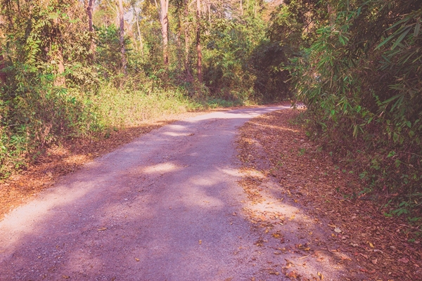 ภูลมโล ภูลมโล