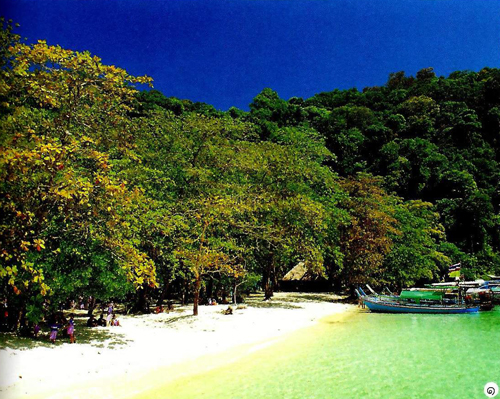 หมู่เกาะสุรินทร์ หมู่เกาะสุรินทร์