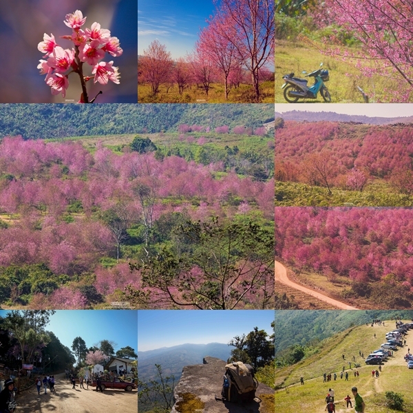 ภูลมโล ภูลมโล