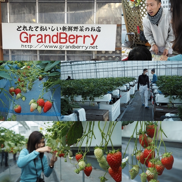 GrandBerry Osaka GrandBerry Osaka
