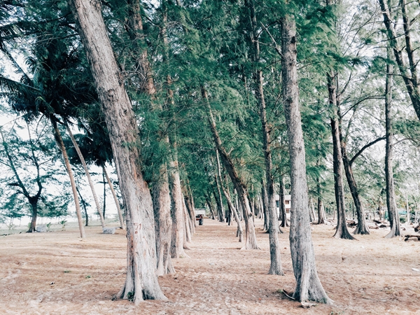 เที่ยวภาคใต้ เที่ยวภาคใต้