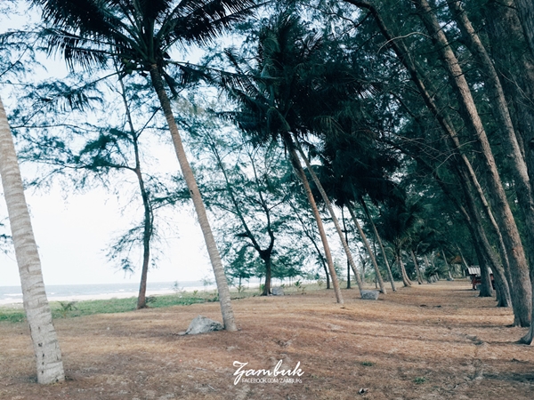 เที่ยวภาคใต้ เที่ยวภาคใต้