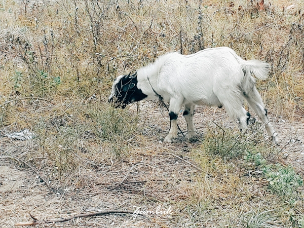 เที่ยวภาคใต้ เที่ยวภาคใต้