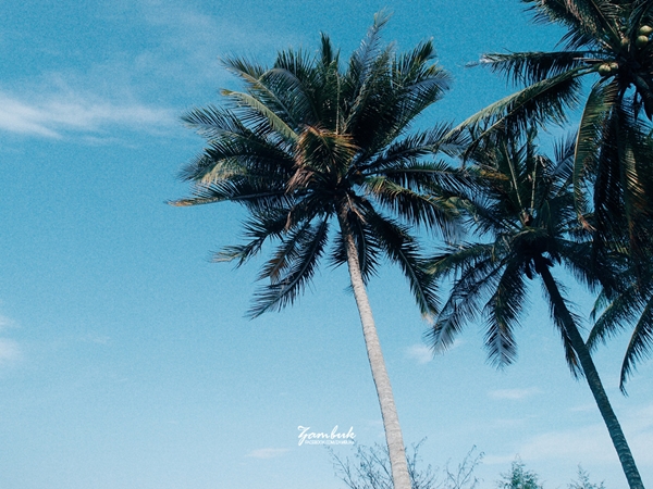 เที่ยวภาคใต้ เที่ยวภาคใต้