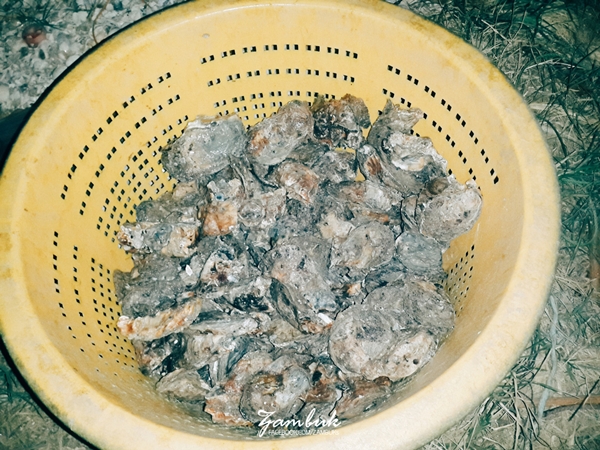 เที่ยวภาคใต้ เที่ยวภาคใต้