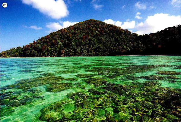 หมู่เกาะสุรินทร์ หมู่เกาะสุรินทร์