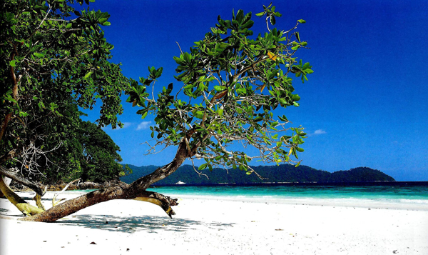 หมู่เกาะสุรินทร์ หมู่เกาะสุรินทร์