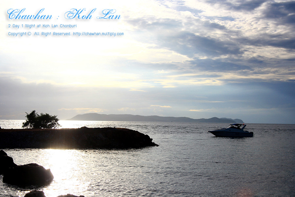 เกาะล้าน เกาะล้าน