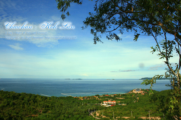 เกาะล้าน เกาะล้าน