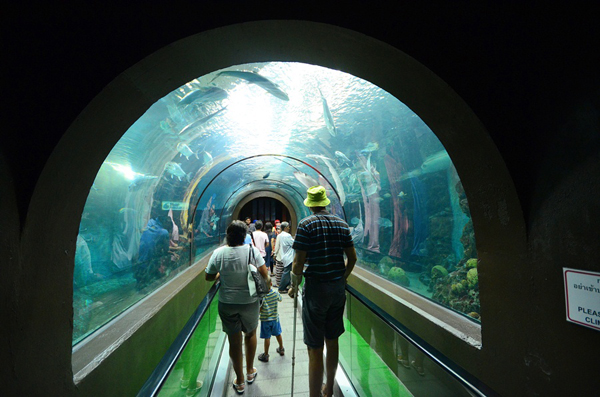 Phuket Aquarium Phuket Aquarium