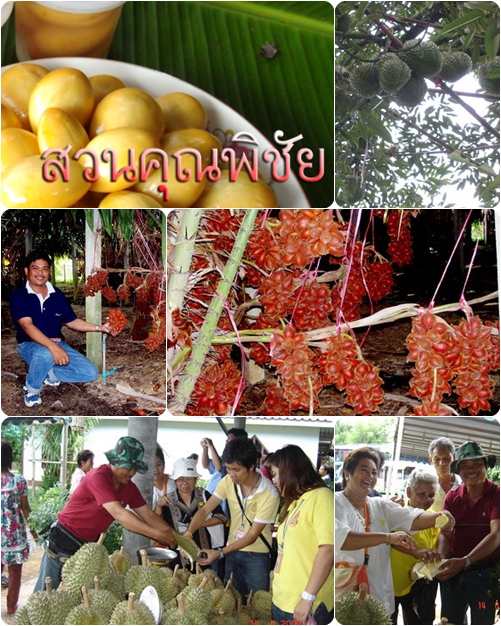 สวนคุณพิชัย สวนคุณพิชัย