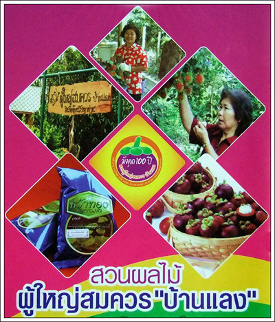 สวนผู้ใหญ่สมควร สวนผู้ใหญ่สมควร