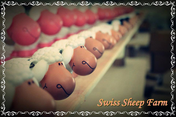 Swiss Sheep Farm Swiss Sheep Farm