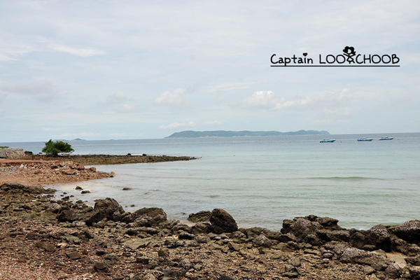 เกาะล้าน เกาะล้าน