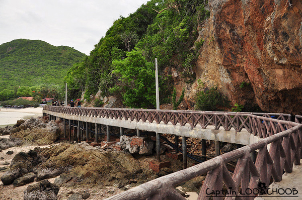 เกาะล้าน เกาะล้าน
