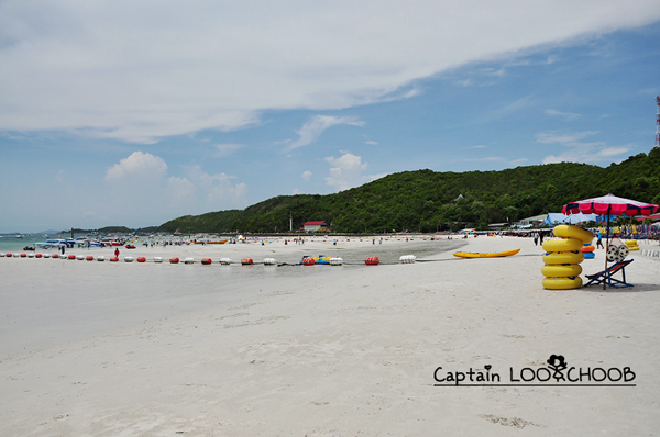 เกาะล้าน เกาะล้าน