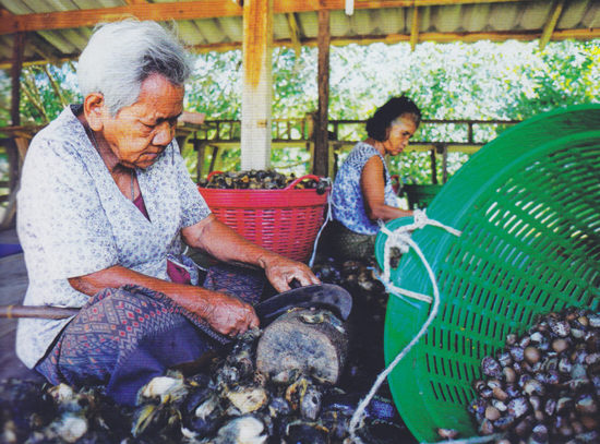 คีรีวง คีรีวง