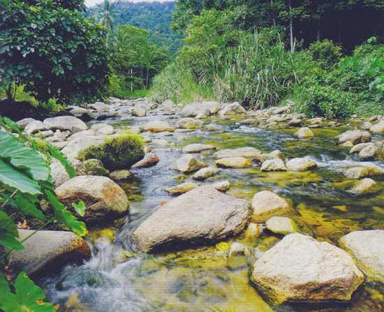 คีรีวง คีรีวง