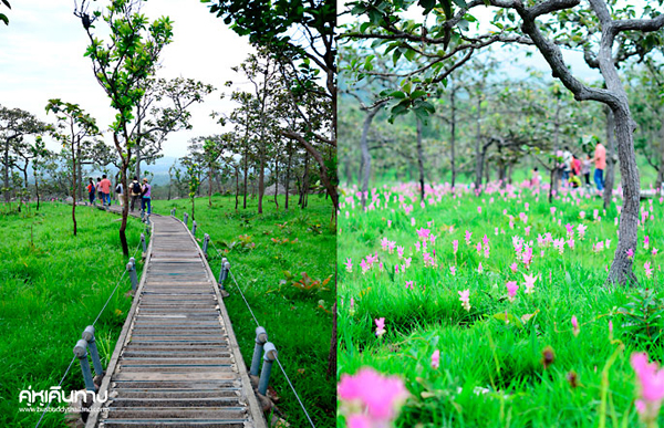 อุทยานแห่งชาติป่าหินงาม อุทยานแห่งชาติป่าหินงาม