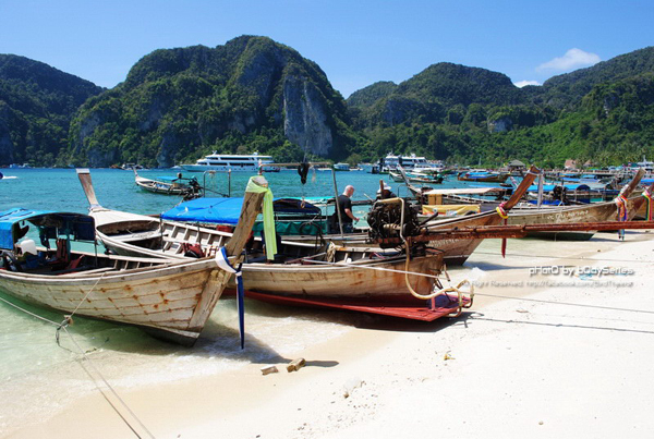 เกาะพีพี เกาะพีพี