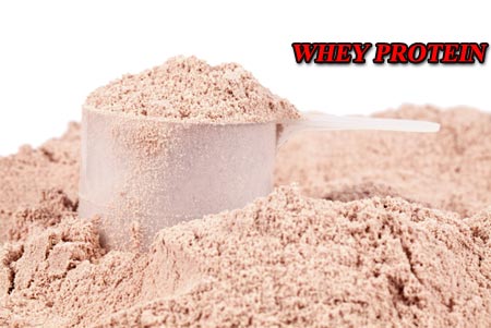 Whey Protein Whey Protein
