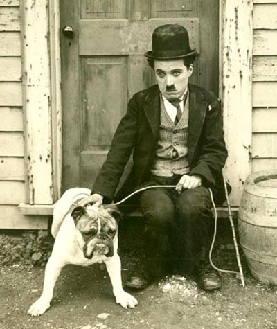 7 สไตล์หนวดสุดเท่ยอดนิยมตลอดกาล 7 สไตล์หนวดสุดเท่ยอดนิยมตลอดกาล