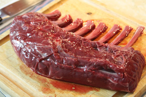 เนื้อกวาง เนื้อกวาง