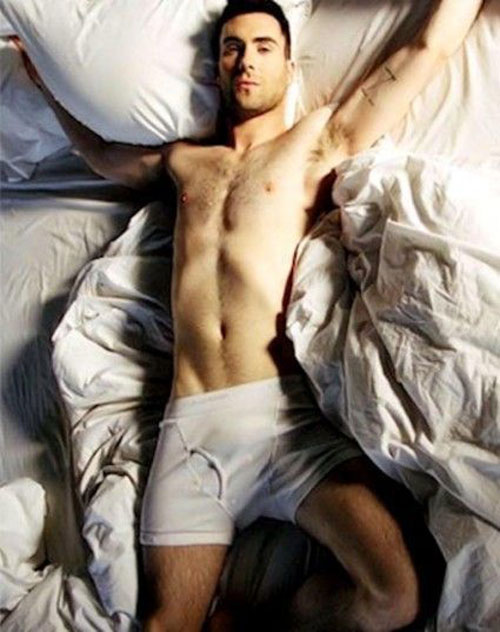 อดัม เลอวีน อดัม เลอวีน