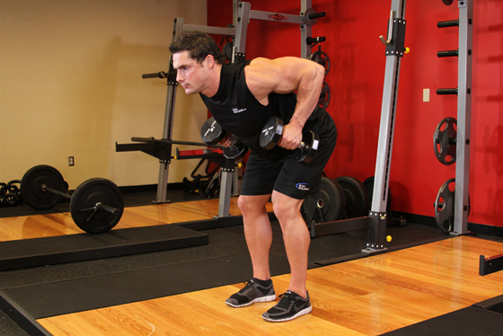 Bent-Over Row Bent-Over Row