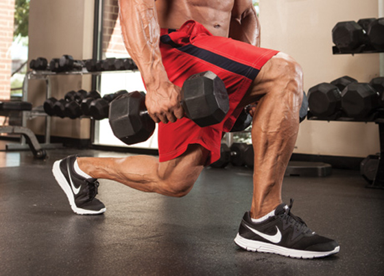 Single Arm Lunge Single Arm Lunge