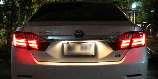 LED Fiber Optic LED Fiber Optic