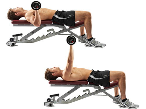 Dumbbell bench press Dumbbell bench press