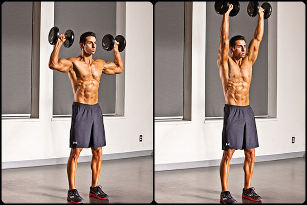Dumbbell Shoulder Press Dumbbell Shoulder Press