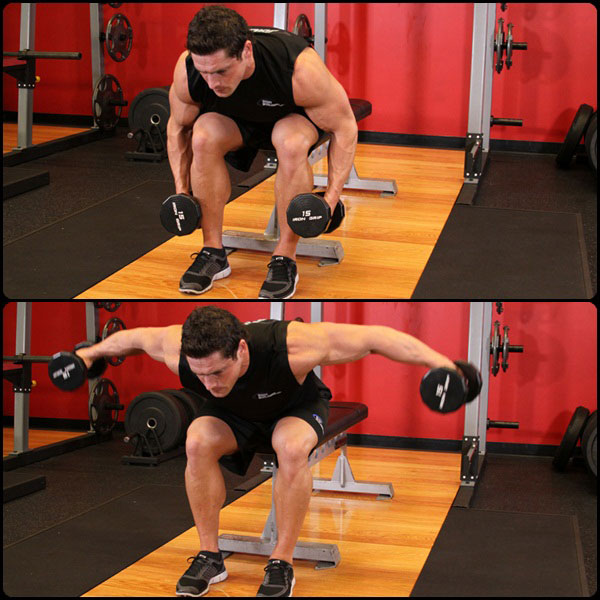 Dumbbell Rear Delt Fly Dumbbell Rear Delt Fly