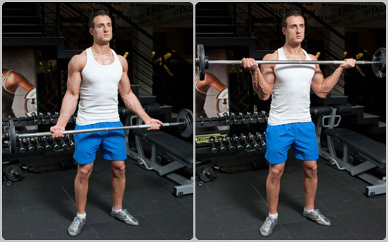 Perfect Bicep Curl Perfect Bicep Curl